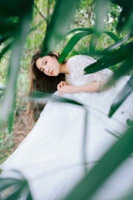 2025年天天免费资料百度中文